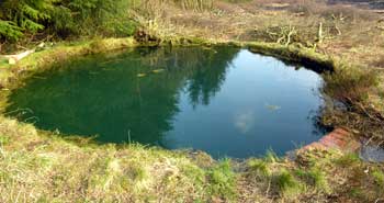 Torwood Pool looking blue
